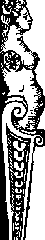 semicolonna2