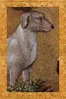cane